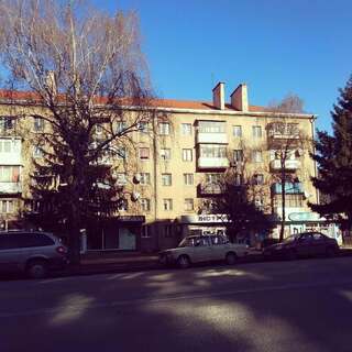 Апартаменты Apartment 55 Prospect Svobody Ужгород Апартаменты-11